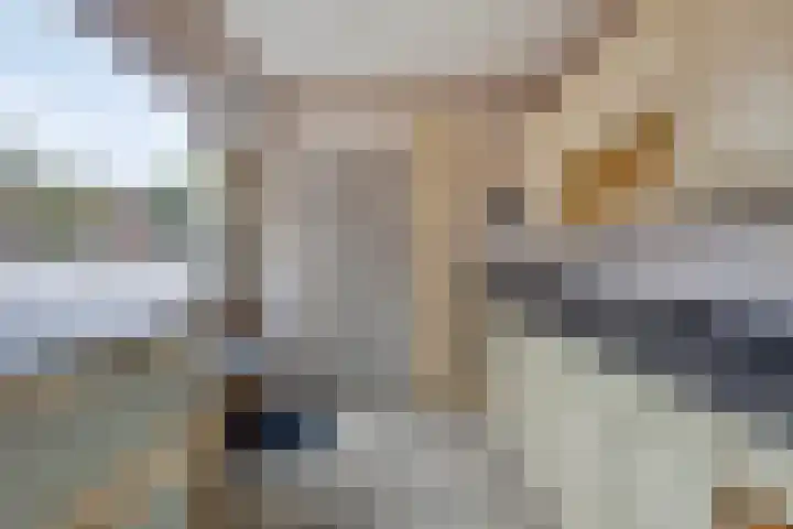 Laan van Popkensburgh 4 Middelburg thumbnail 10