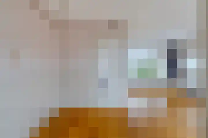 Laan van Popkensburgh 4 Middelburg thumbnail 13
