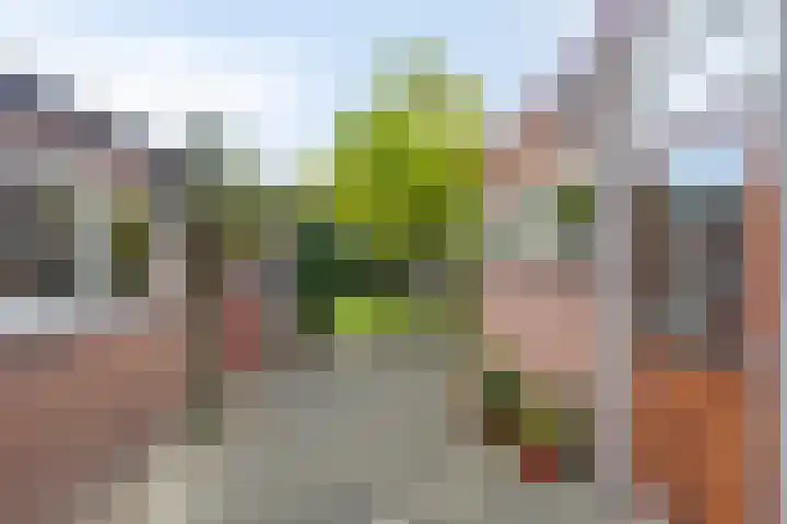 Laan van Popkensburgh 4 Middelburg thumbnail 26