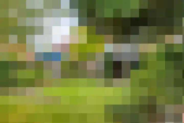 Laan van Popkensburgh 4 Middelburg thumbnail 27