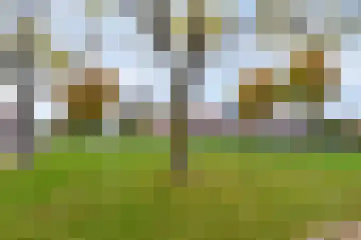 Laan van Popkensburgh 4 Middelburg thumbnail 31
