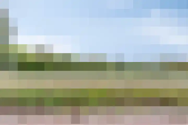 Laan van Popkensburgh 4 Middelburg thumbnail 32