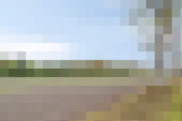 Laan van Popkensburgh 4 Middelburg thumbnail 33