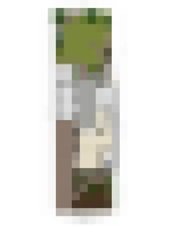 Laan van Popkensburgh 4 Middelburg thumbnail 34