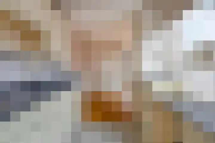 Laan van Popkensburgh 4 Middelburg thumbnail 9