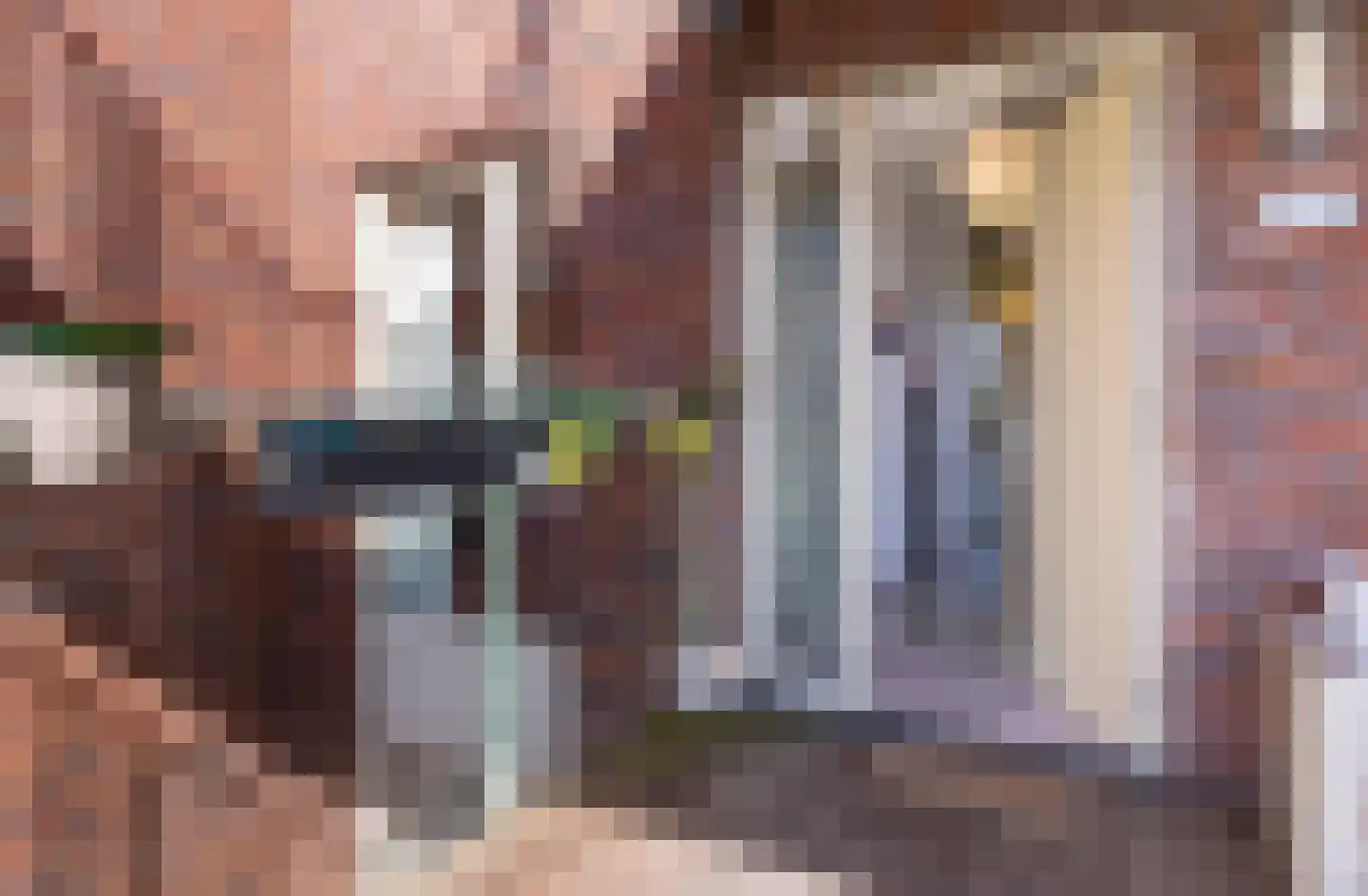 Laan van Presikhaaf 10 2 Arnhem thumbnail 13