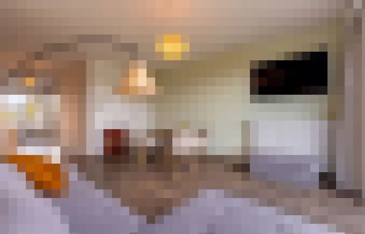 Laan van Presikhaaf 10 2 Arnhem thumbnail 21