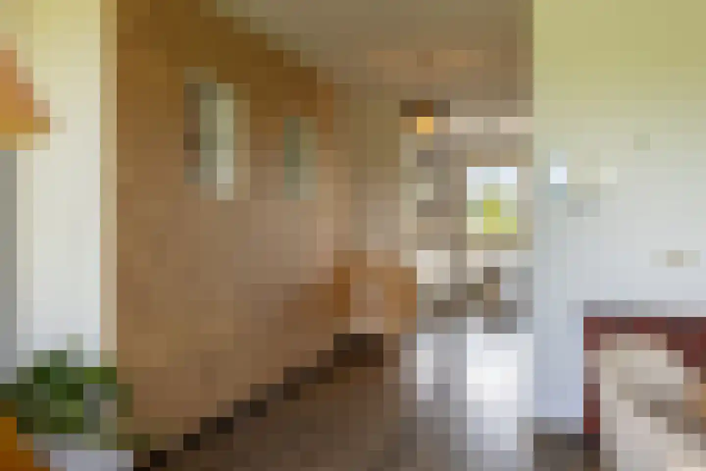Laan van Presikhaaf 10 2 Arnhem thumbnail 22