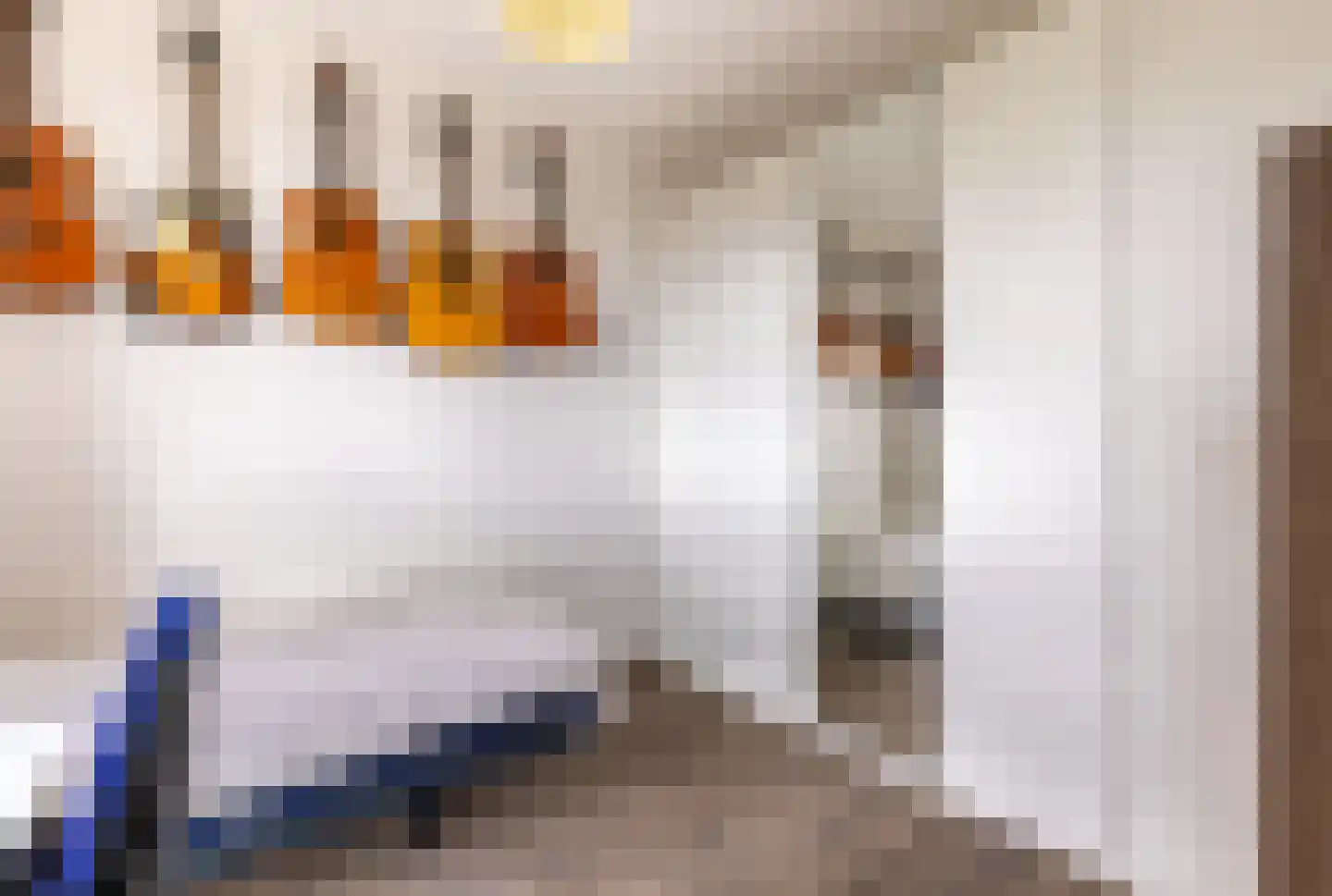 Laan van Presikhaaf 10 2 Arnhem thumbnail 27