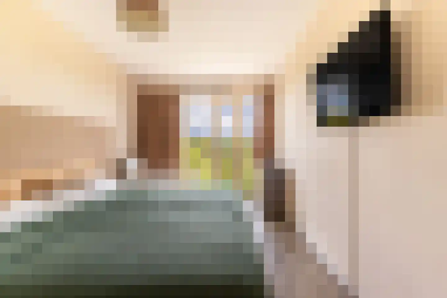 Laan van Presikhaaf 10 2 Arnhem thumbnail 32