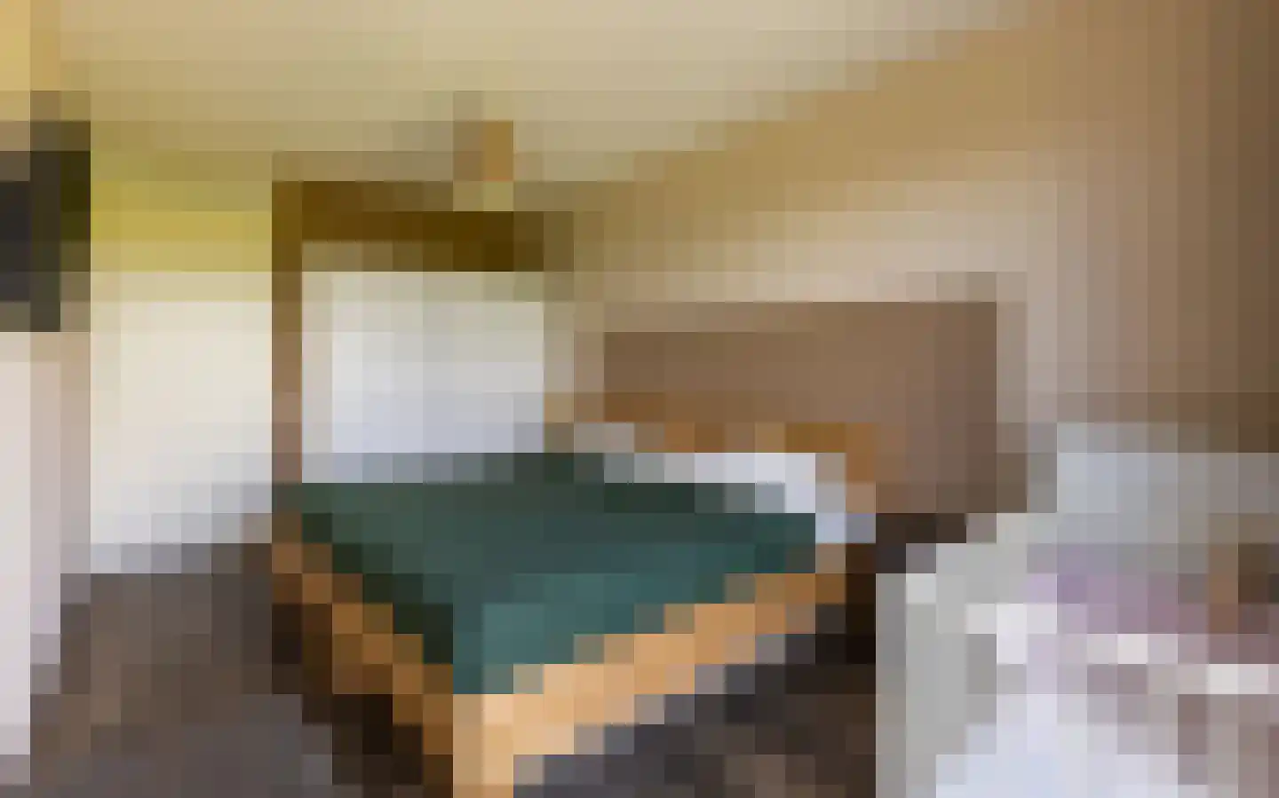 Laan van Presikhaaf 10 2 Arnhem thumbnail 33