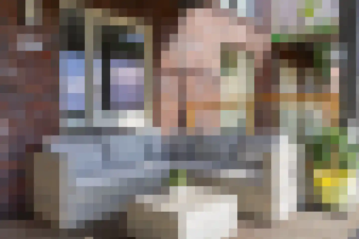 Laan van Presikhaaf 10 2 Arnhem thumbnail 34