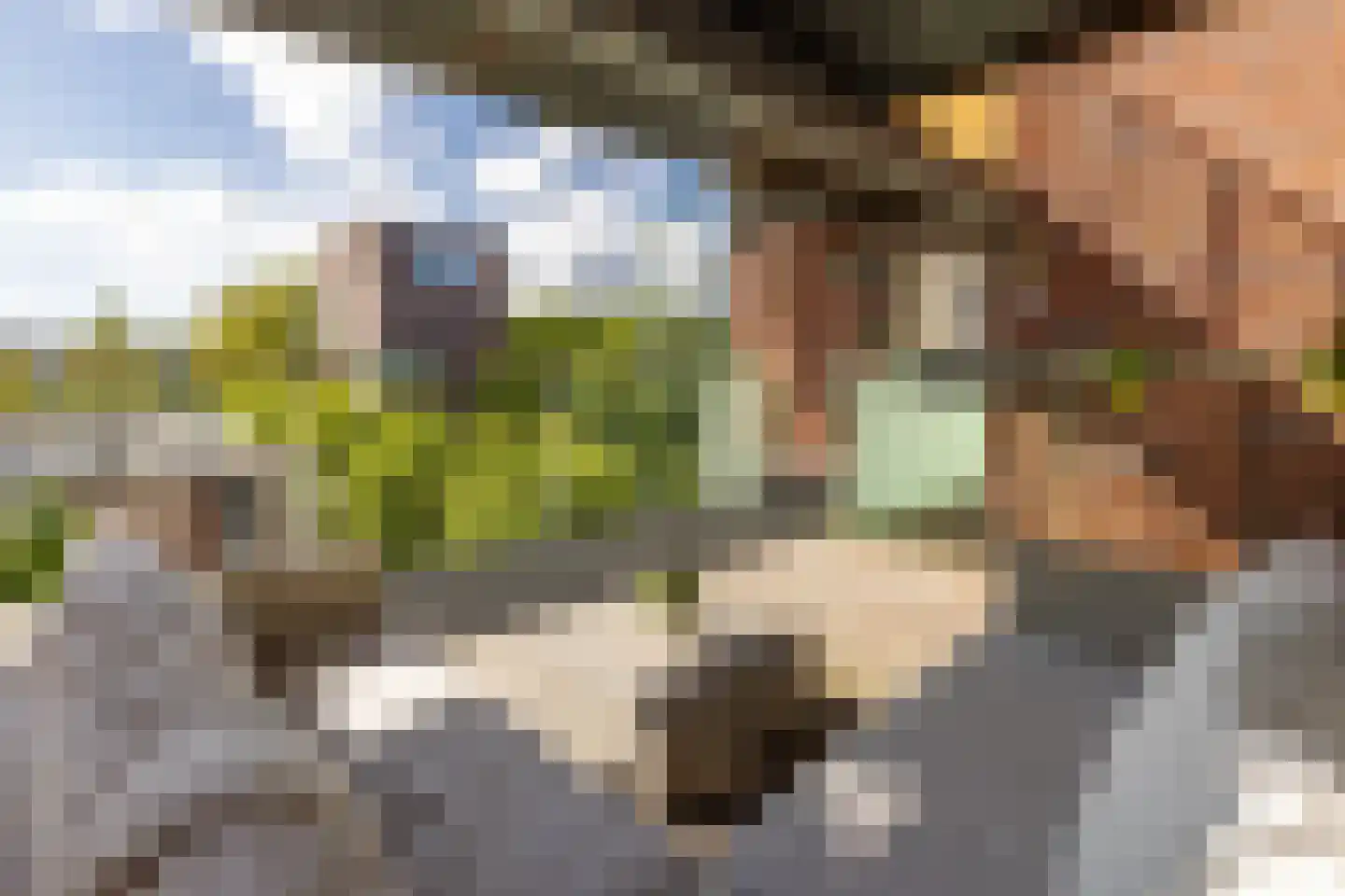 Laan van Presikhaaf 10 2 Arnhem thumbnail 35