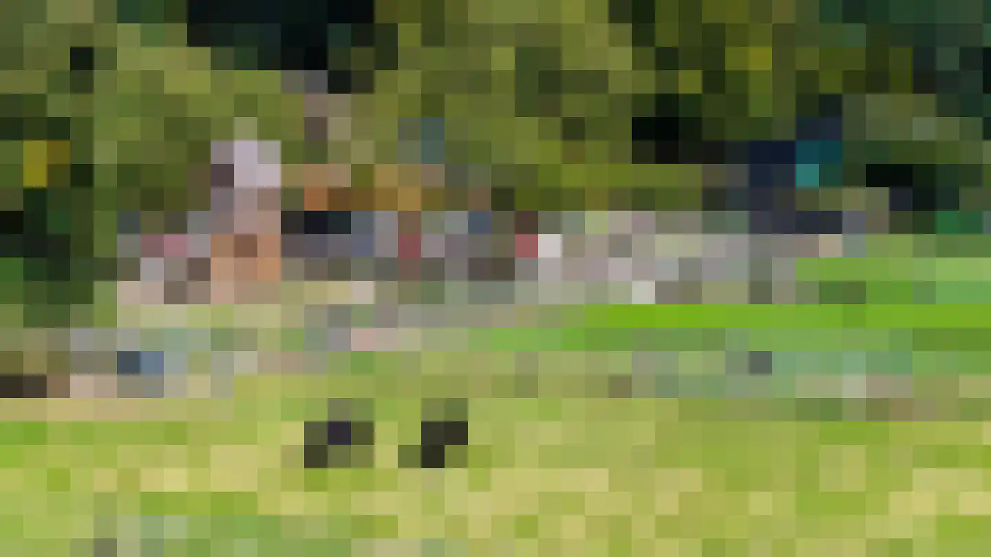 Laan van Presikhaaf 10 2 Arnhem thumbnail 37