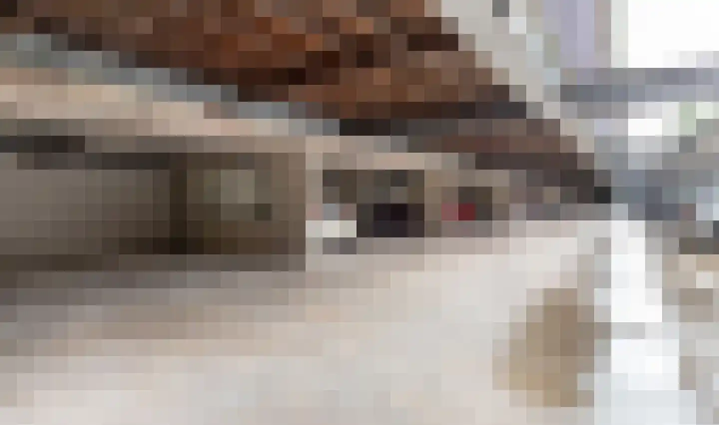Laan van Presikhaaf 10 2 Arnhem thumbnail 38