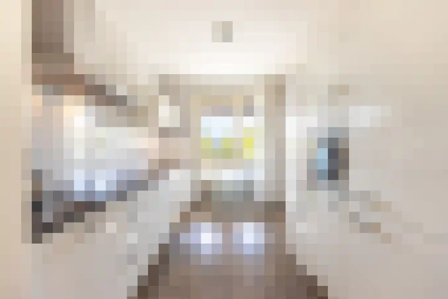 Laan van Presikhaaf 10 2 Arnhem thumbnail 4