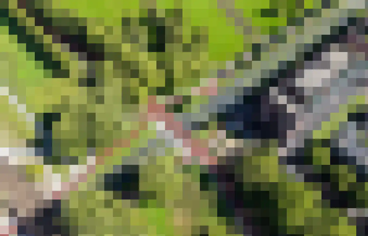 Laan van Presikhaaf 10 2 Arnhem thumbnail 43