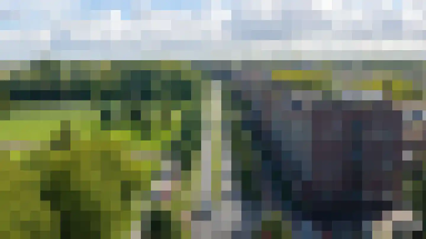 Laan van Presikhaaf 10 2 Arnhem thumbnail 46