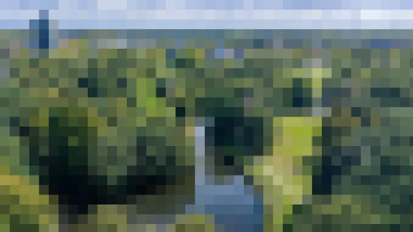 Laan van Presikhaaf 10 2 Arnhem thumbnail 47