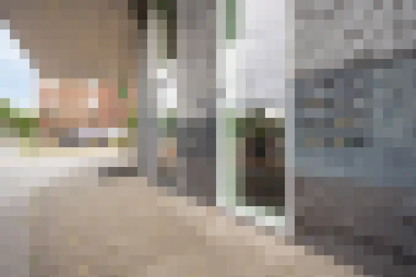 Laan van Presikhaaf 192 19 Arnhem thumbnail 30
