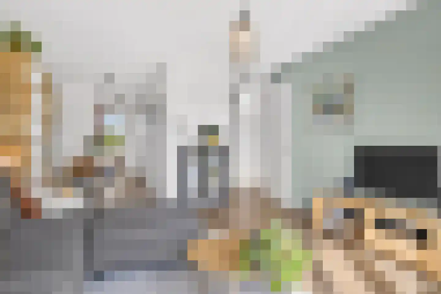 Laan van Presikhaaf 20 2 Arnhem thumbnail 13