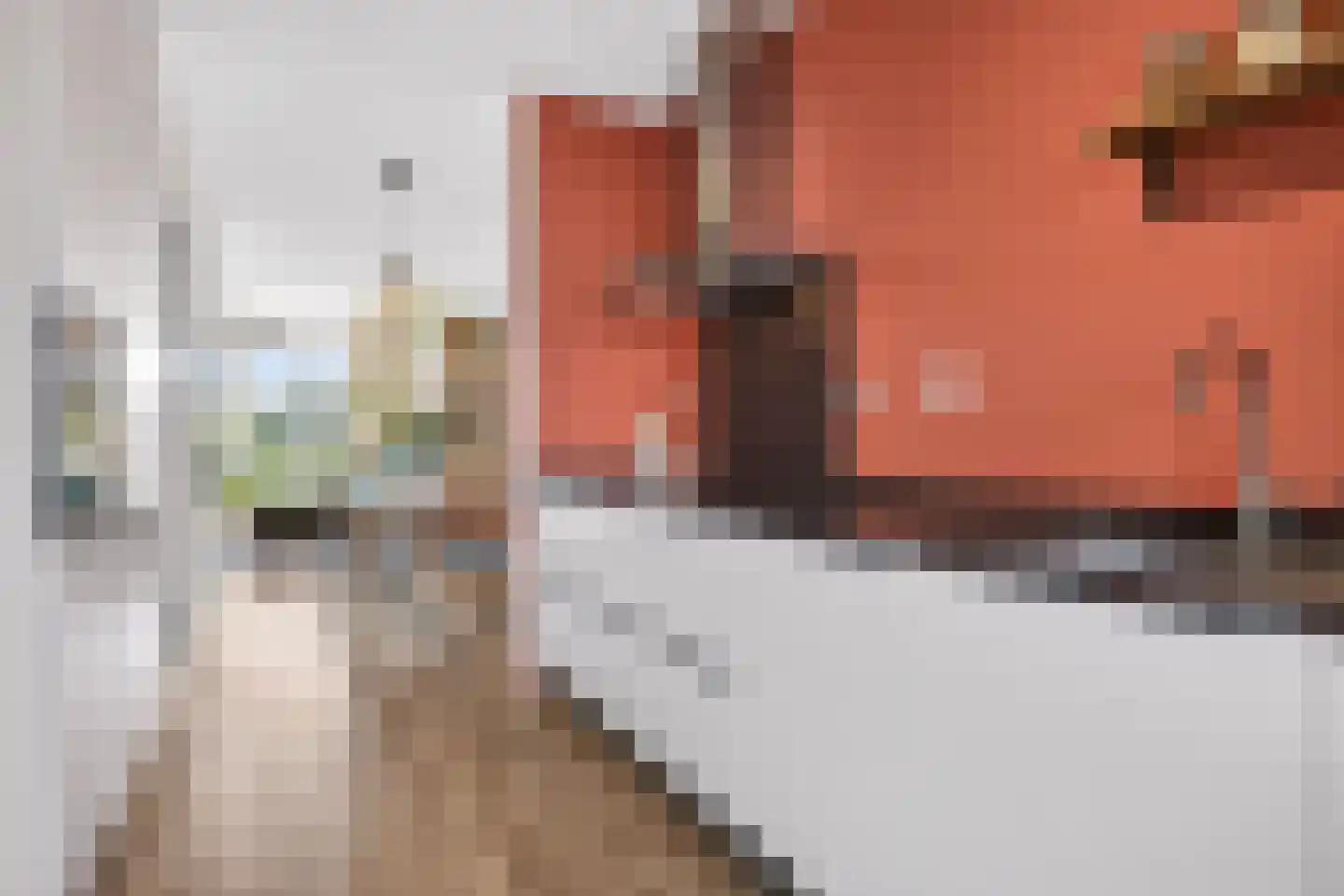 Laan van Presikhaaf 20 2 Arnhem thumbnail 17