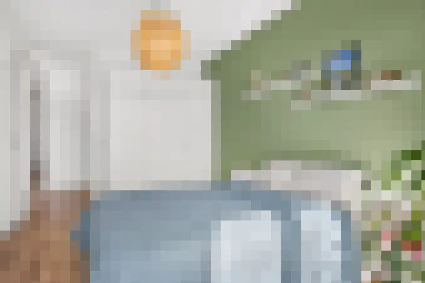 Laan van Presikhaaf 20 2 Arnhem thumbnail 20