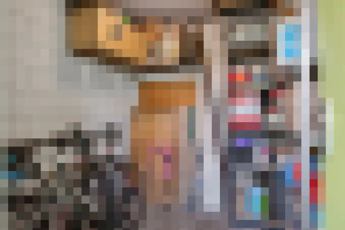Laan van Presikhaaf 20 2 Arnhem thumbnail 27