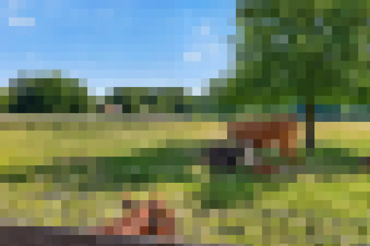 Laan van Presikhaaf 20 2 Arnhem thumbnail 35