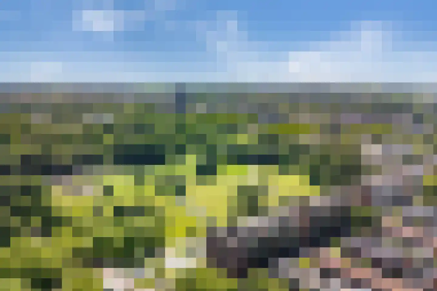 Laan van Presikhaaf 20 2 Arnhem thumbnail 37