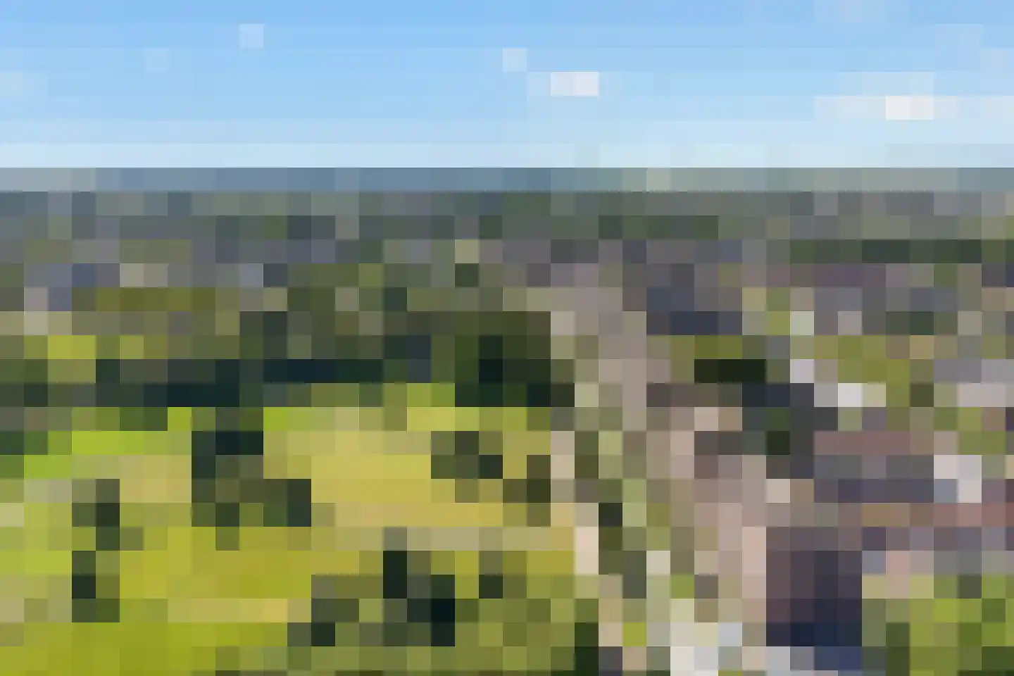 Laan van Presikhaaf 20 2 Arnhem thumbnail 39