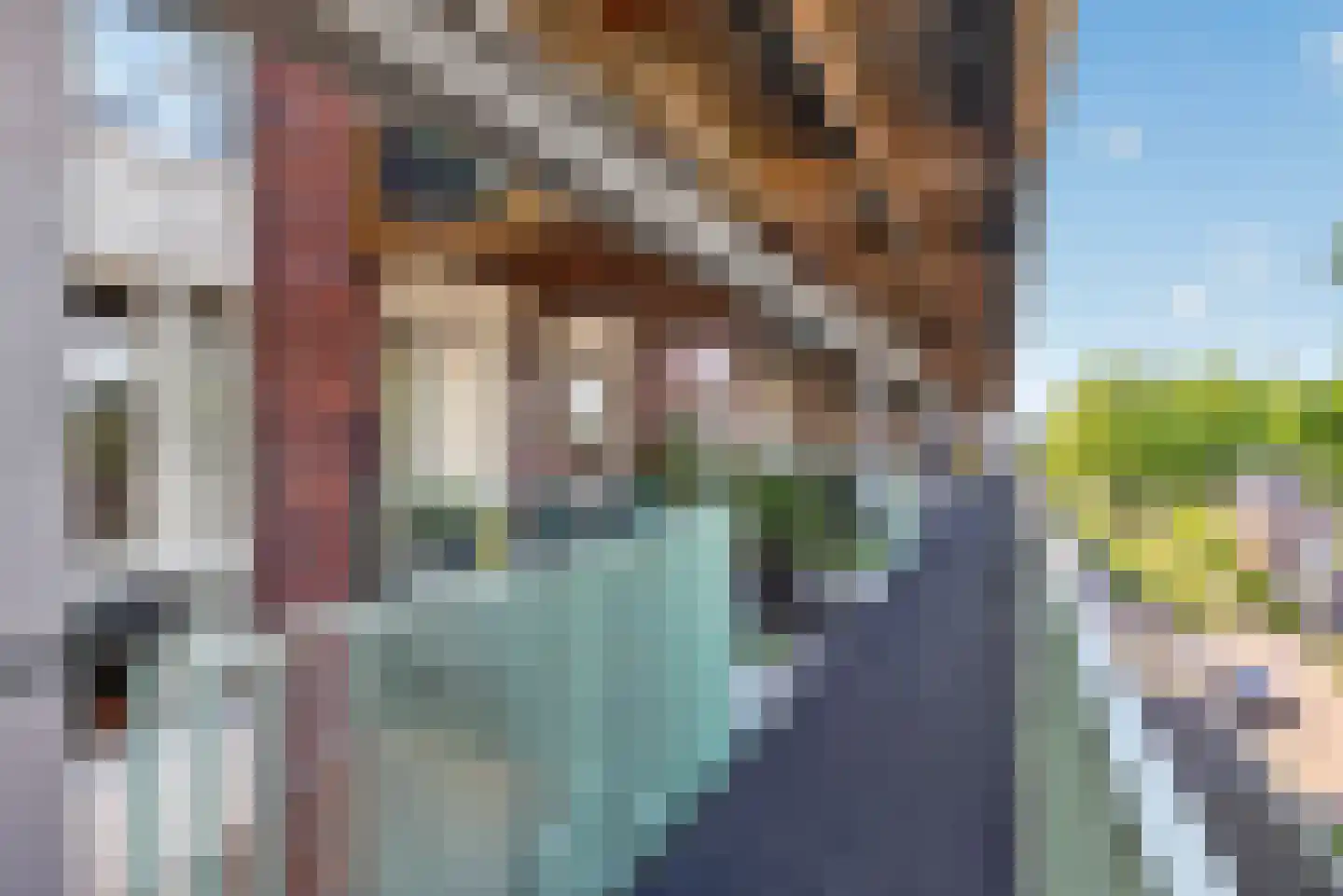Laan van Presikhaaf 20 2 Arnhem thumbnail 6