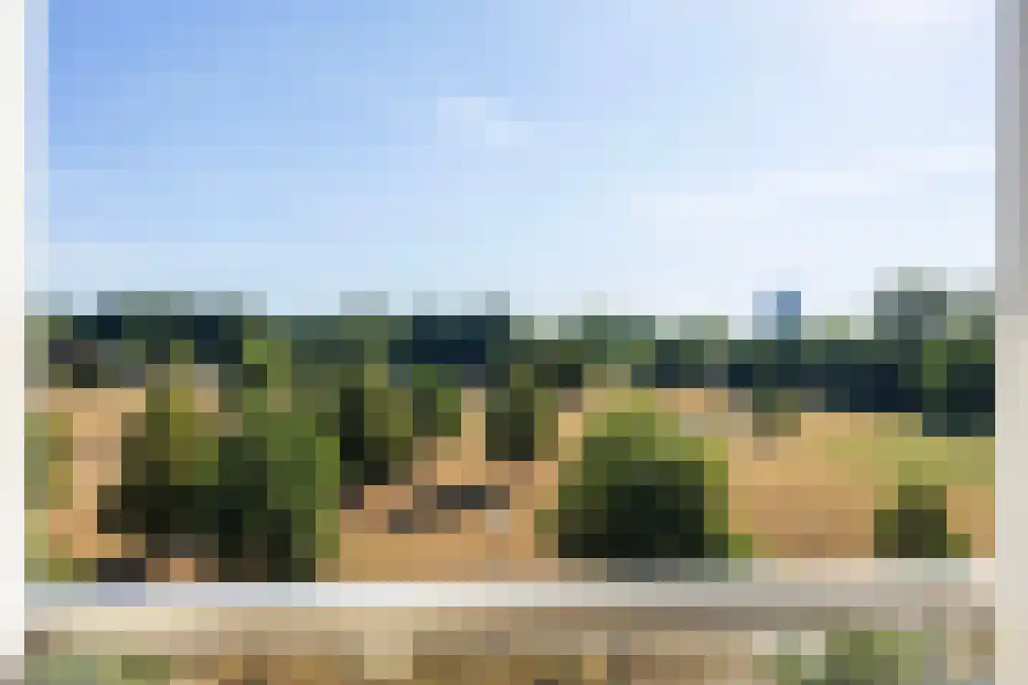 Laan van Presikhaaf 22 5 Arnhem thumbnail 17