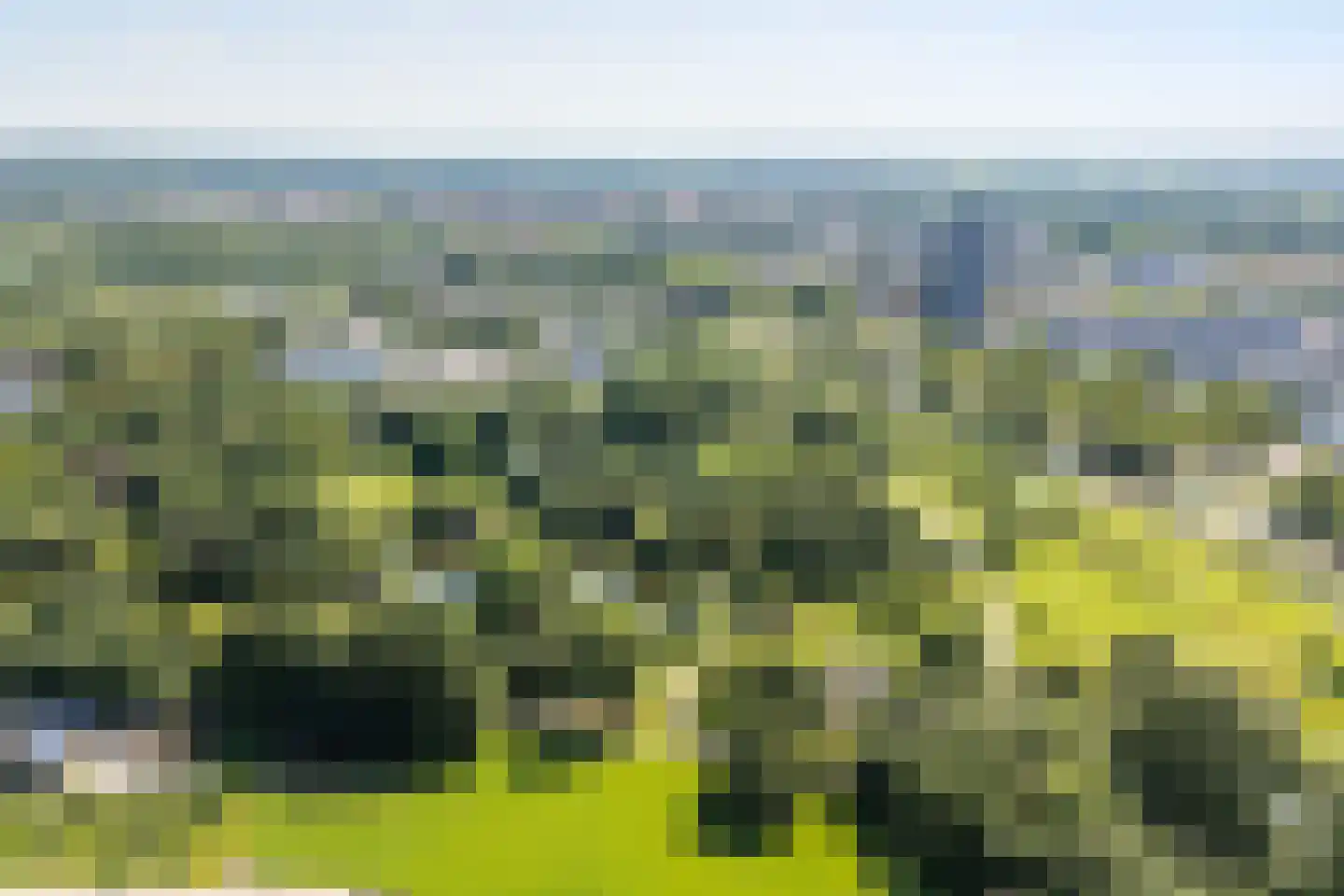 Laan van Presikhaaf 22 5 Arnhem thumbnail 44