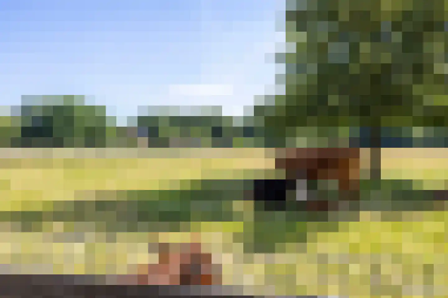 Laan van Presikhaaf 22 5 Arnhem thumbnail 45