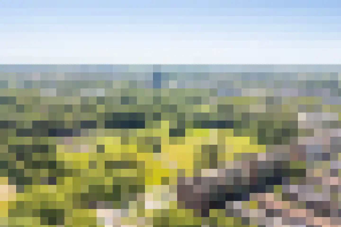Laan van Presikhaaf 22 5 Arnhem thumbnail 46