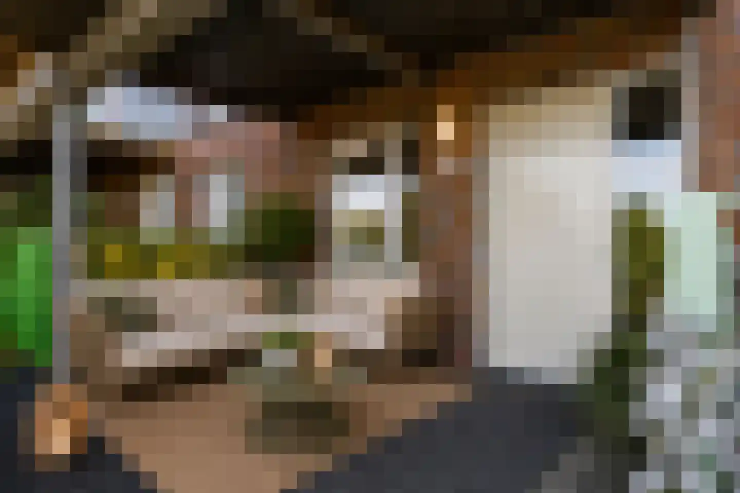 Laan van Presikhaaf 22 5 Arnhem thumbnail 8
