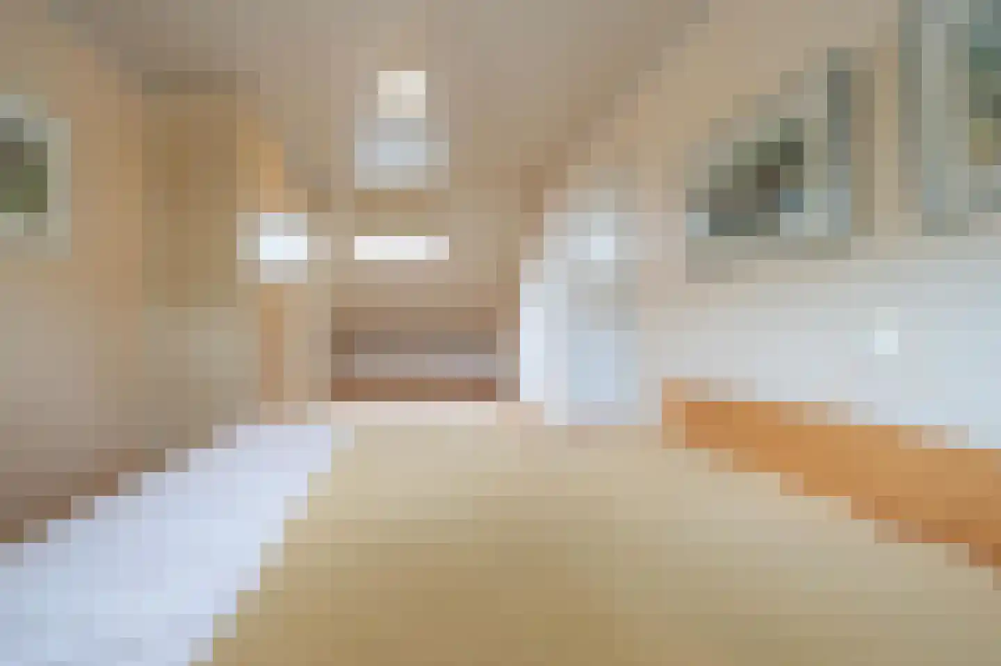 Laan van Rapijnen 15 Linschoten thumbnail 26