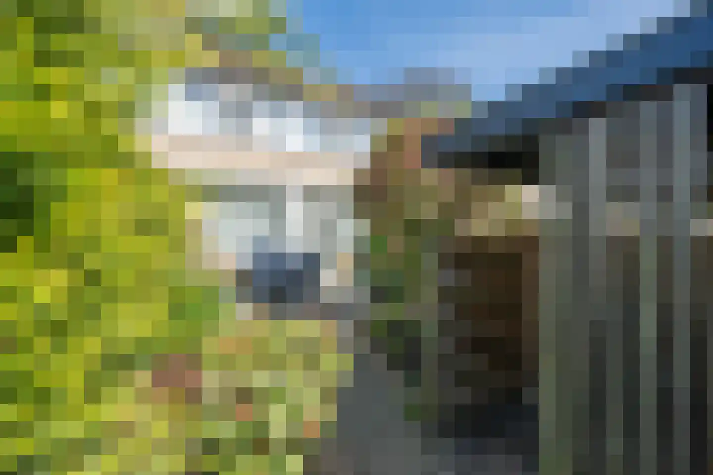 Laan van Rapijnen 15 Linschoten foto 3