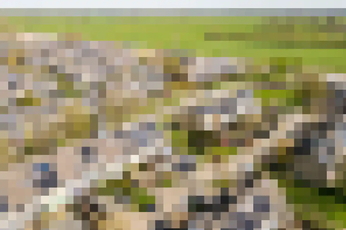 Laan van Rapijnen 15 Linschoten thumbnail 35