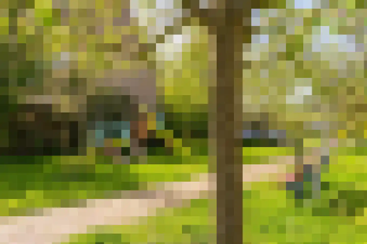 Laan van Rapijnen 15 Linschoten thumbnail 39
