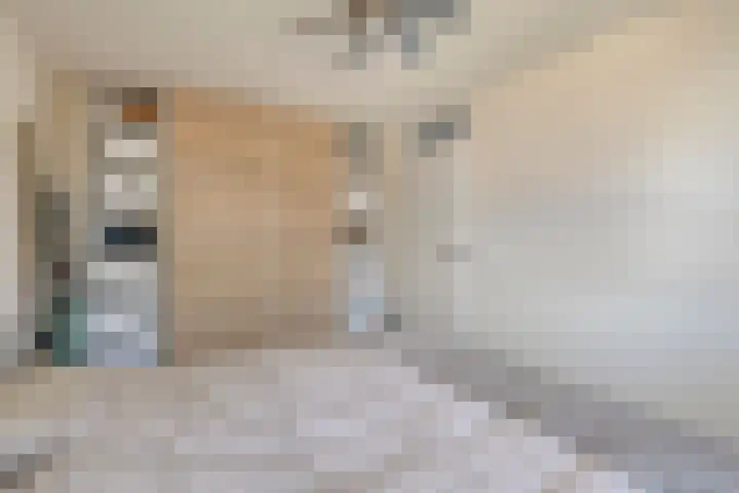 Laan van Rapijnen 5 Linschoten thumbnail 24