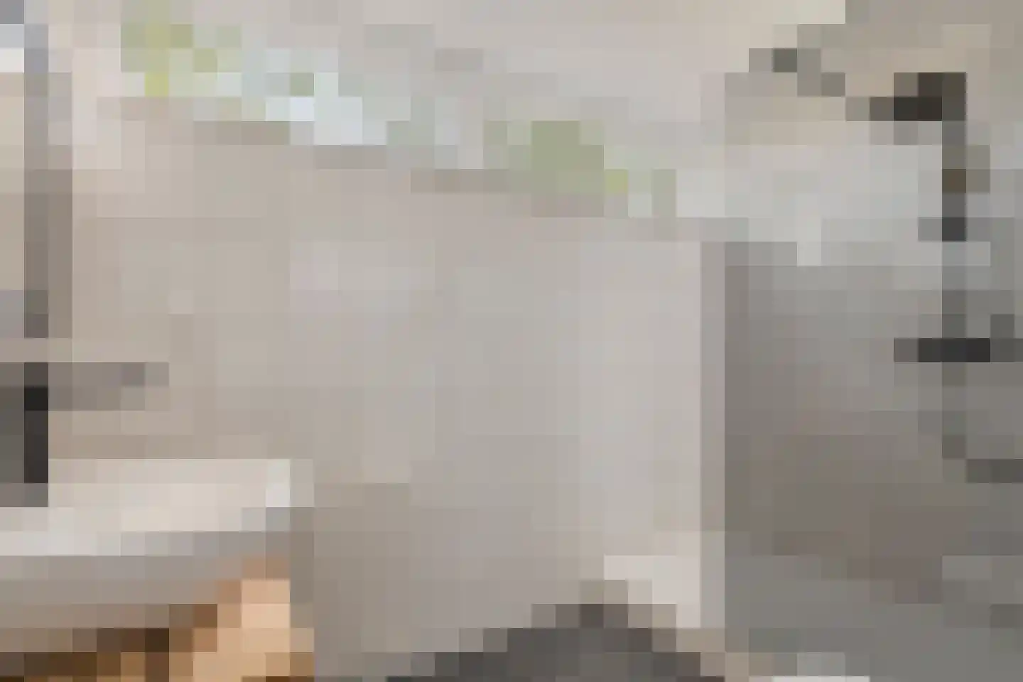 Laan van Rapijnen 5 Linschoten thumbnail 27