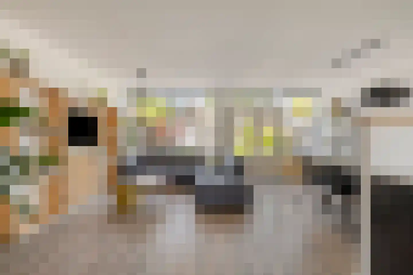 Laan van Rapijnen 5 Linschoten foto 3