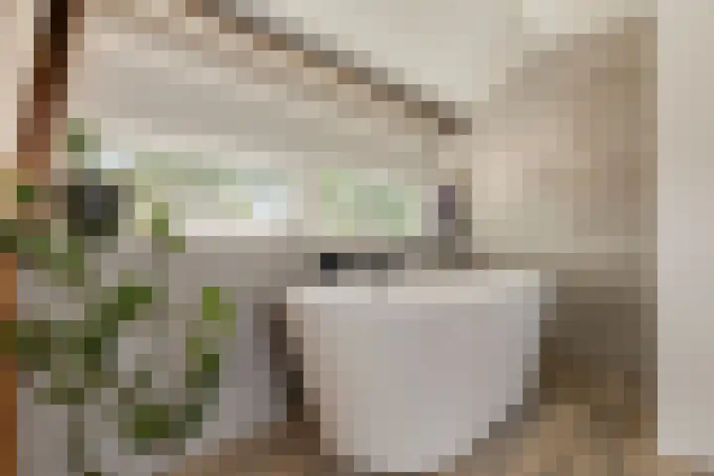 Laan van Rapijnen 5 Linschoten thumbnail 31