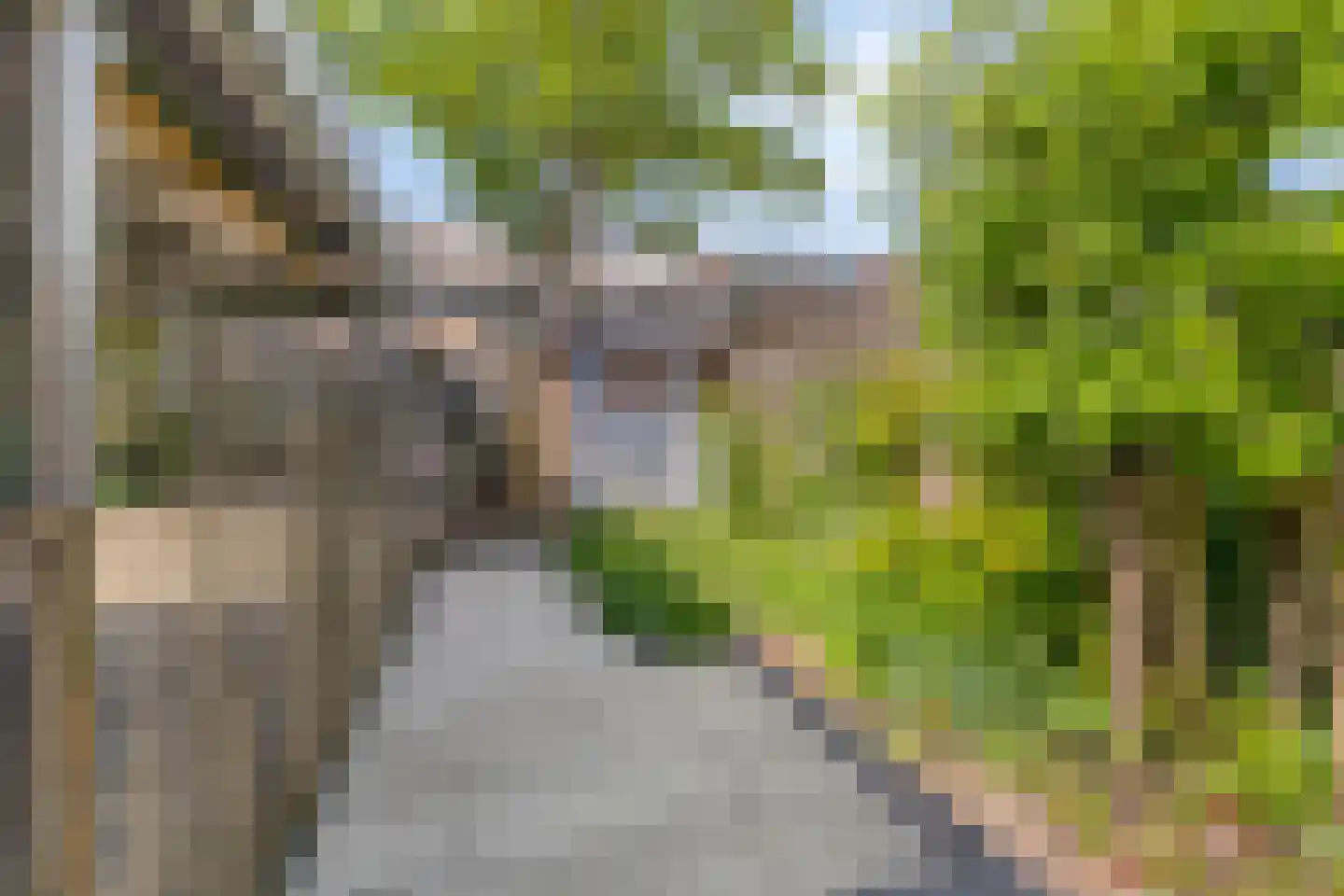 Laan van Rapijnen 5 Linschoten thumbnail 35