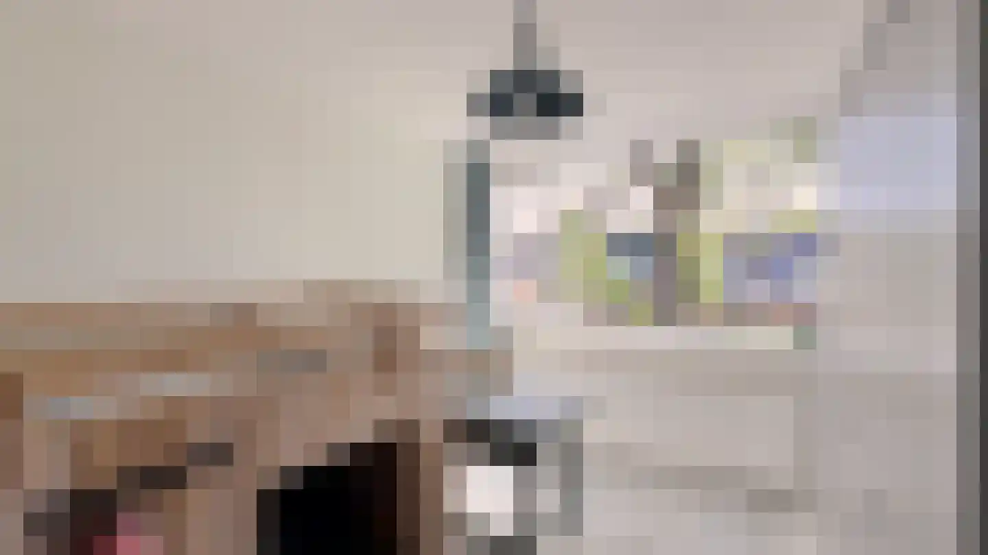 Laan van Rapijnen 5 Linschoten thumbnail 8