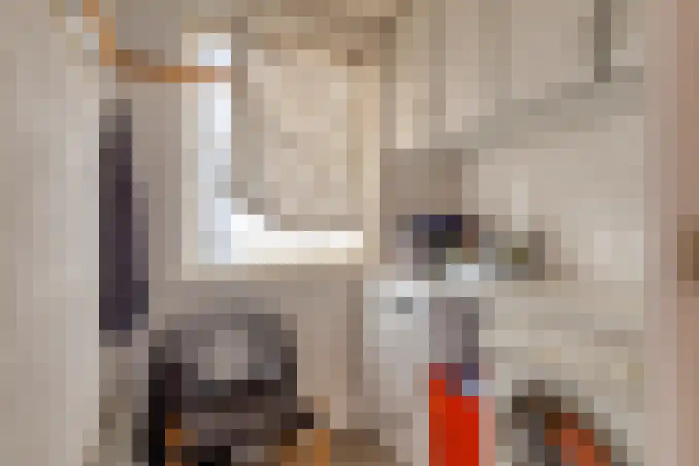 Laan van Rasseghem 37 Breda thumbnail 21
