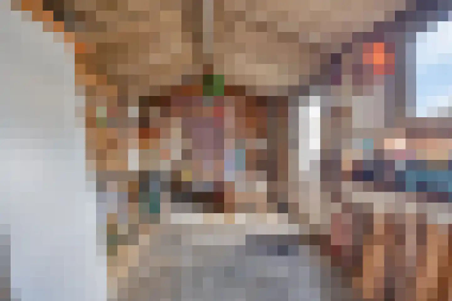 Laan van Rasseghem 37 Breda thumbnail 29