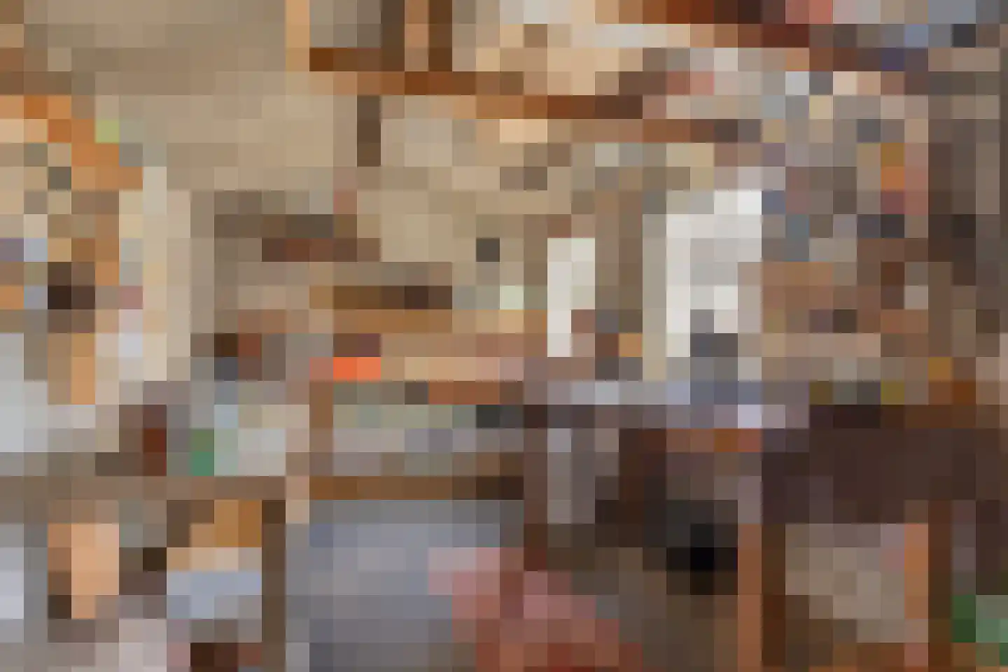 Laan van Rasseghem 37 Breda thumbnail 31